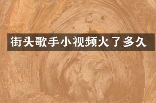 街头歌手小视频火了多久