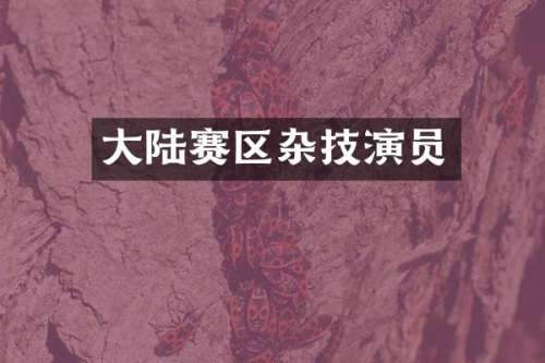 大陆赛区杂技演员