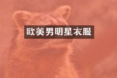 欧美男明星衣服