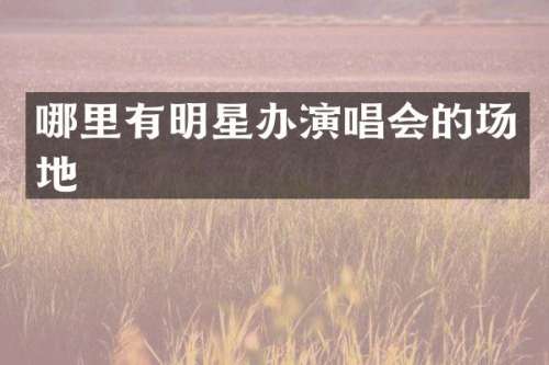 哪里有明星办演唱会的场地