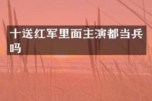 十送红军里面主演都当兵吗
