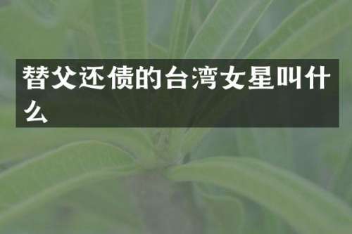 替父还债的台湾女星叫什么