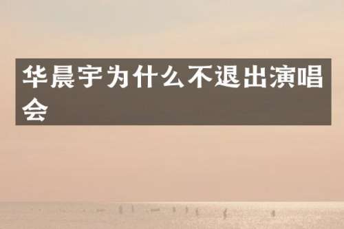 华晨宇为什么不退出演唱会