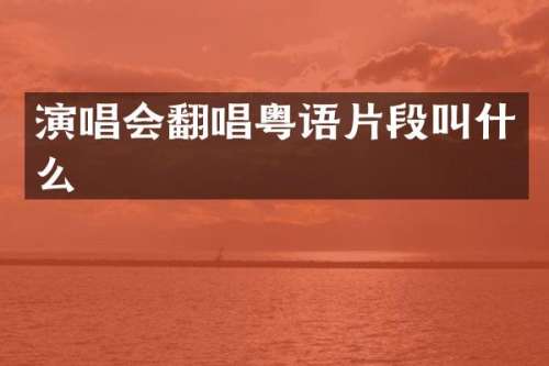 演唱会翻唱粤语片段叫什么