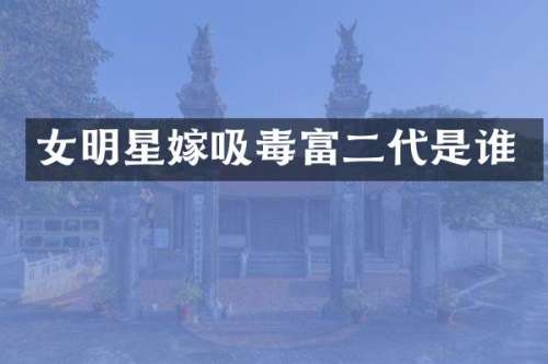 女明星嫁吸毒富二代是谁