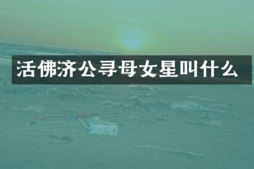 活佛济公寻母女星叫什么