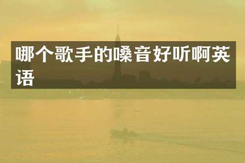 哪个歌手的嗓音好听啊英语