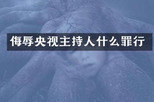 侮辱央视主持人什么罪行