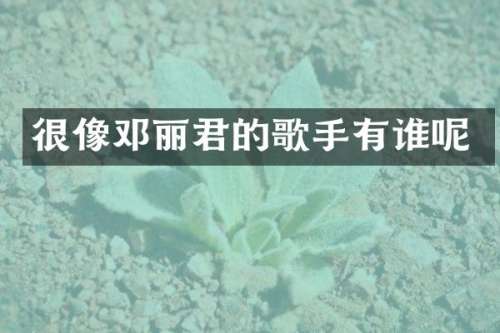 很像邓丽君的歌手有谁呢
