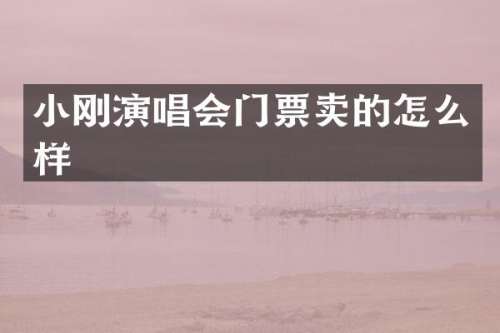 小刚演唱会门票卖的怎么样