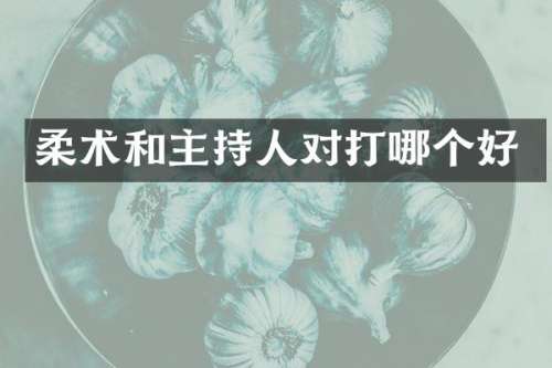 柔术和主持人对打哪个好
