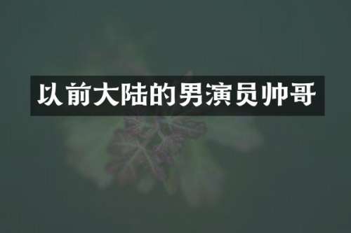 以前大陆的男演员帅哥