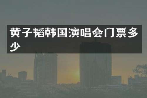 黄子韬韩国演唱会门票多少