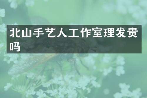 北山手艺人工作室理发贵吗