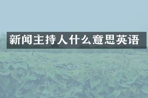 新闻主持人什么意思英语