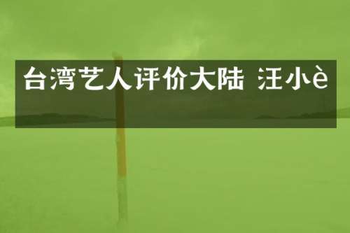 台湾艺人评价大陆 汪小菲