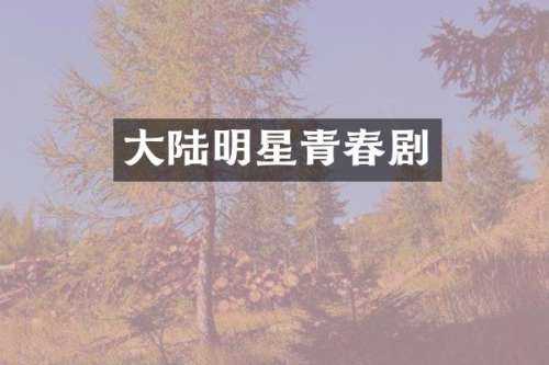 大陆明星青春剧