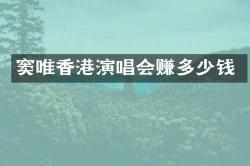 窦唯香港演唱会赚多少钱