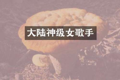 大陆神级女歌手