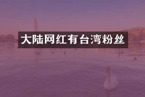 大陆网红有台湾粉丝