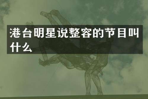 港台明星说整容的节目叫什么