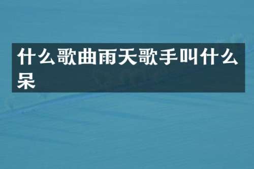 什么歌曲雨天歌手叫什么呆