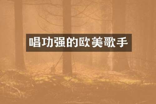 唱功强的欧美歌手