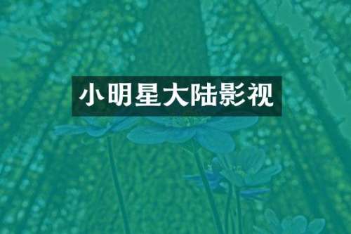 小明星大陆影视