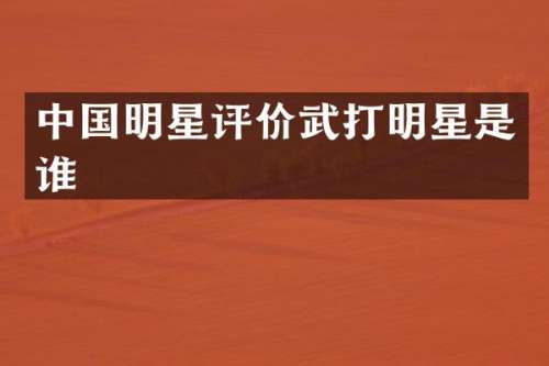 中国明星评价武打明星是谁