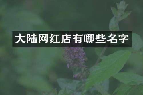 大陆网红店有哪些名字