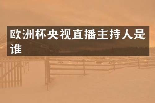 欧洲杯央视直播主持人是谁