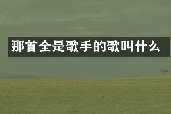 那首全是歌手的歌叫什么