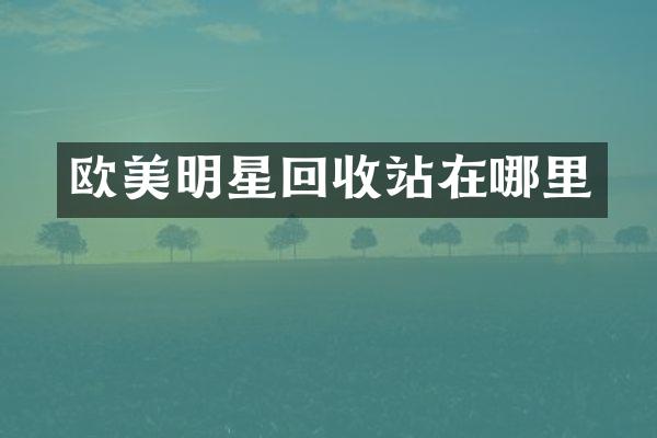 欧美明星回收站在哪里