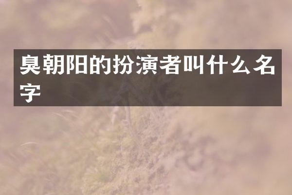 臭朝阳的扮演者叫什么名字