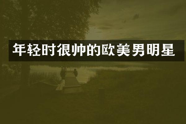 年轻时很帅的欧美男明星