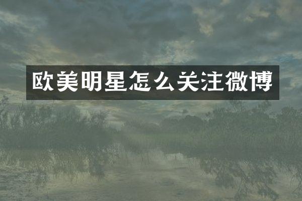 欧美明星怎么关注微博
