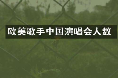 欧美歌手中国演唱会人数
