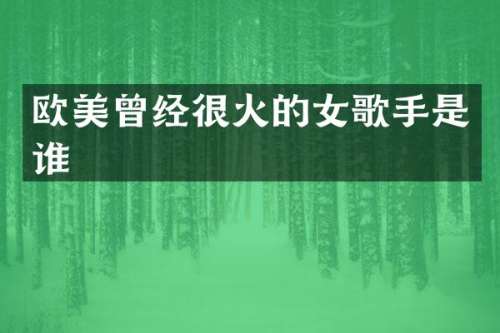 欧美曾经很火的女歌手是谁
