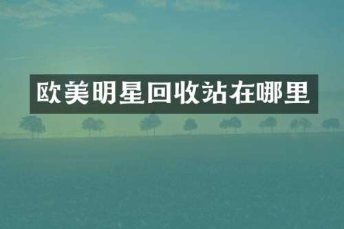 欧美明星回收站在哪里
