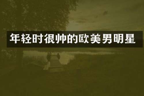 年轻时很帅的欧美男明星