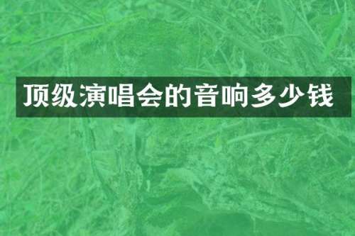 顶级演唱会的音响多少钱