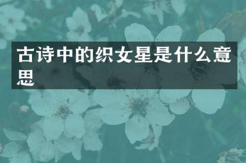 古诗中的织女星是什么意思