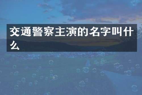 交通警察主演的名字叫什么