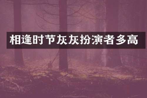 相逢时节灰灰扮演者多高