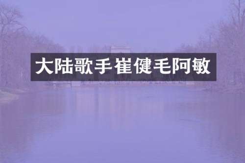 大陆歌手崔健毛阿敏