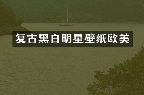 复古黑白明星壁纸欧美