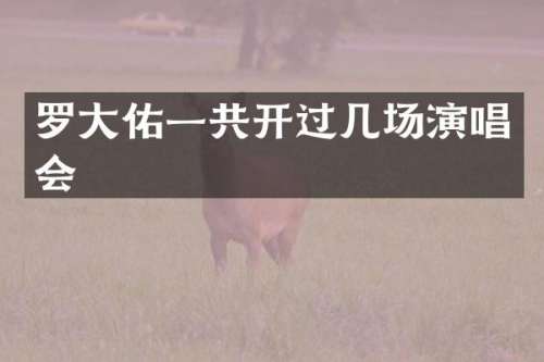 罗大佑一共开过几场演唱会
