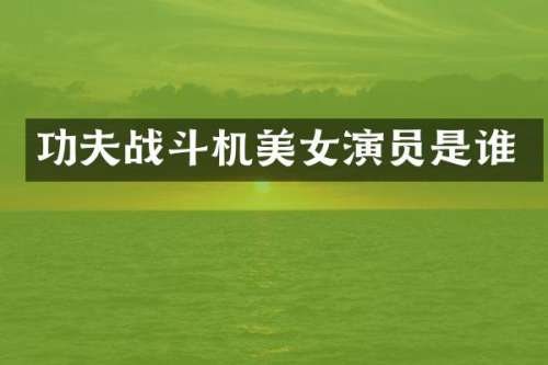 功夫战斗机演员是谁