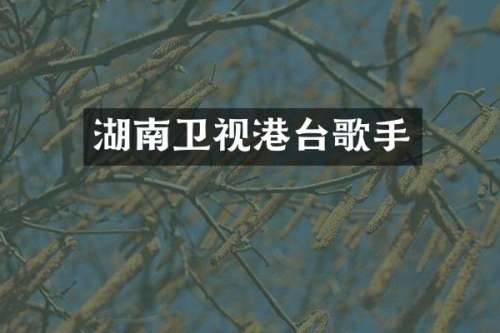 湖南卫视港台歌手