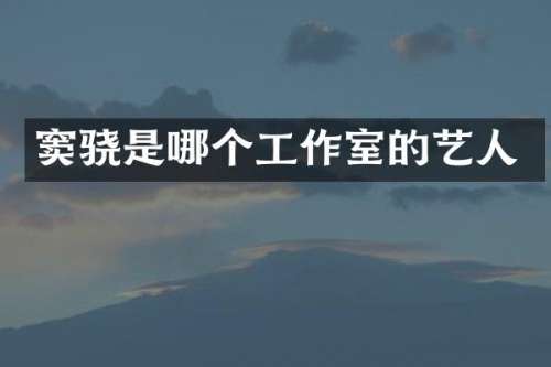 窦骁是哪个工作室的艺人